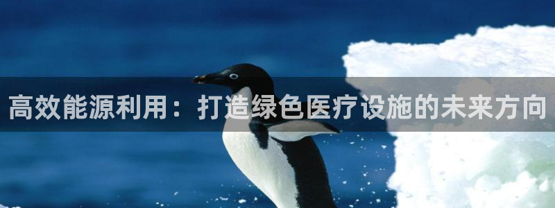 e尊国际地址：高效能源利用：打造绿色医疗设施的未来方向