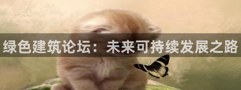 e尊国际-可可计划：绿色建筑论坛：未来可持续发展之路