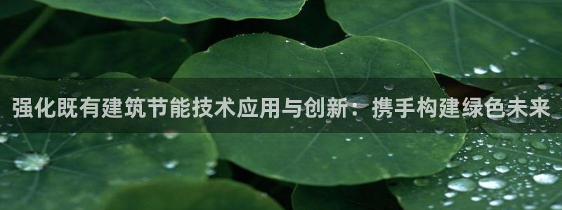 E尊国际：强化既有建筑节能技术应用与创新：携手构建绿色未来