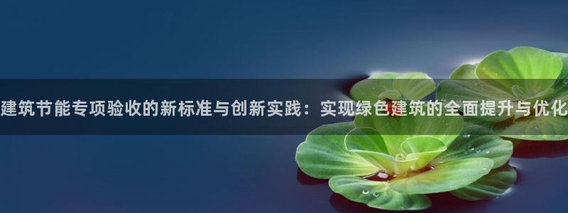 e尊国际app：建筑节能专项验收的新标准与创新实践：实现绿色建筑的全面提升与优化