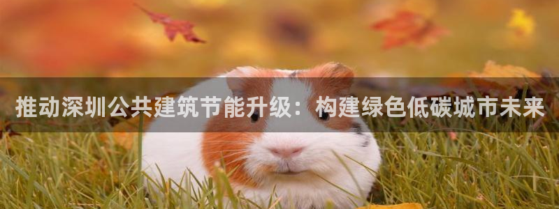 e尊电竞：推动深圳公共建筑节能升级：构建绿色低碳城市未来