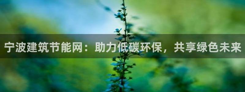 e尊国际客户端：宁波建筑节能网：助力低碳环保，共享绿色未来