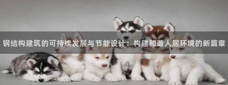 e尊国际-可可计划：钢结构建筑的可持续发展与节能设计：构建和谐人居环境的新篇章