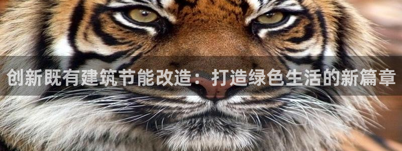 e尊平台：创新既有建筑节能改造：打造绿色生活的新篇章