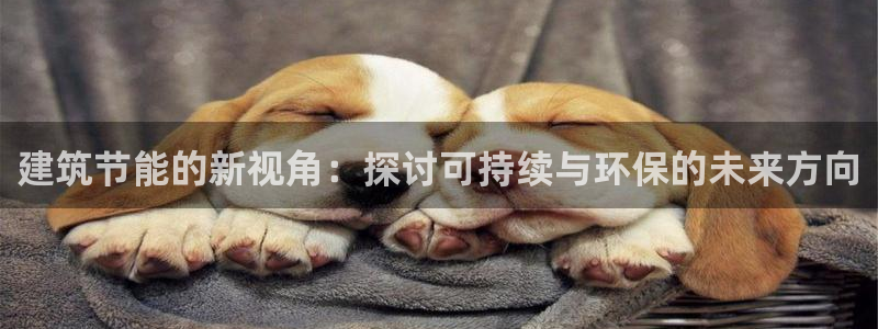 e尊国际网址