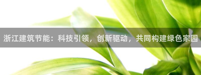 e尊国际是个黑网