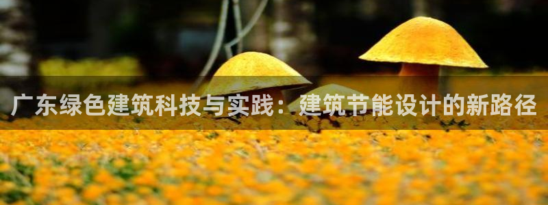 e尊国际官网·网址：广东绿色建筑科技与实践：建筑节能设计的新路径