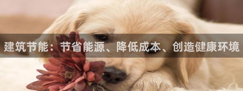 e尊国际-e尊国际官网：建筑节能：节省能源、降低成本、创造健康环境