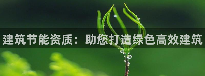 e尊国际网址：建筑节能资质：助您打造绿色高效建筑