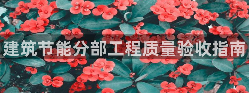 e尊国际地址