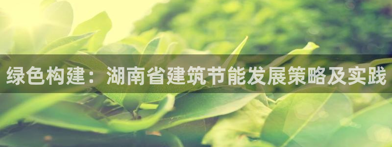 e尊国际官网app