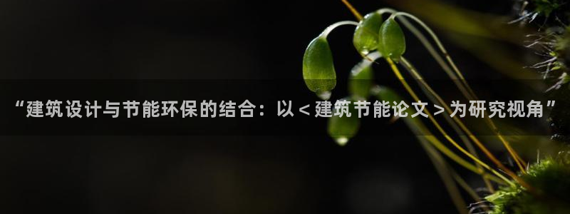 e尊国际网址：“建筑设计与节能环保的结合：以＜建筑节能论文＞为研究视角”