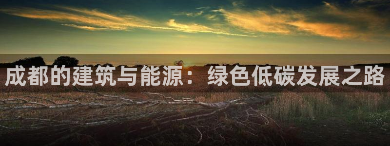 e尊国际的手机登录网站：成都的建筑与能源：绿色低碳发展之路