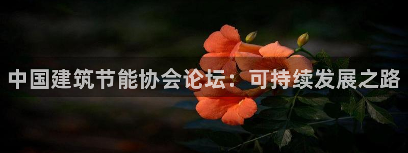 e尊国际是个黑网：中国建筑节能协会论坛：可持续发展之路