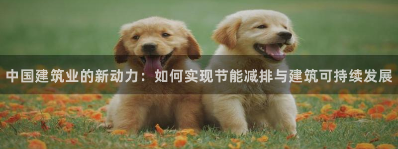 E尊国际：中国建筑业的新动力：如何实现节能减排与建筑可持续发展